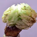 Phosphophyllite from Bolivia, Potosí - image 3