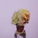 specimen video