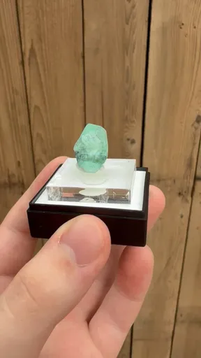 specimen video