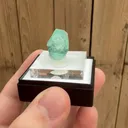 specimen video