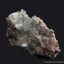 Phosphophyllite (Type Locality) - image 4