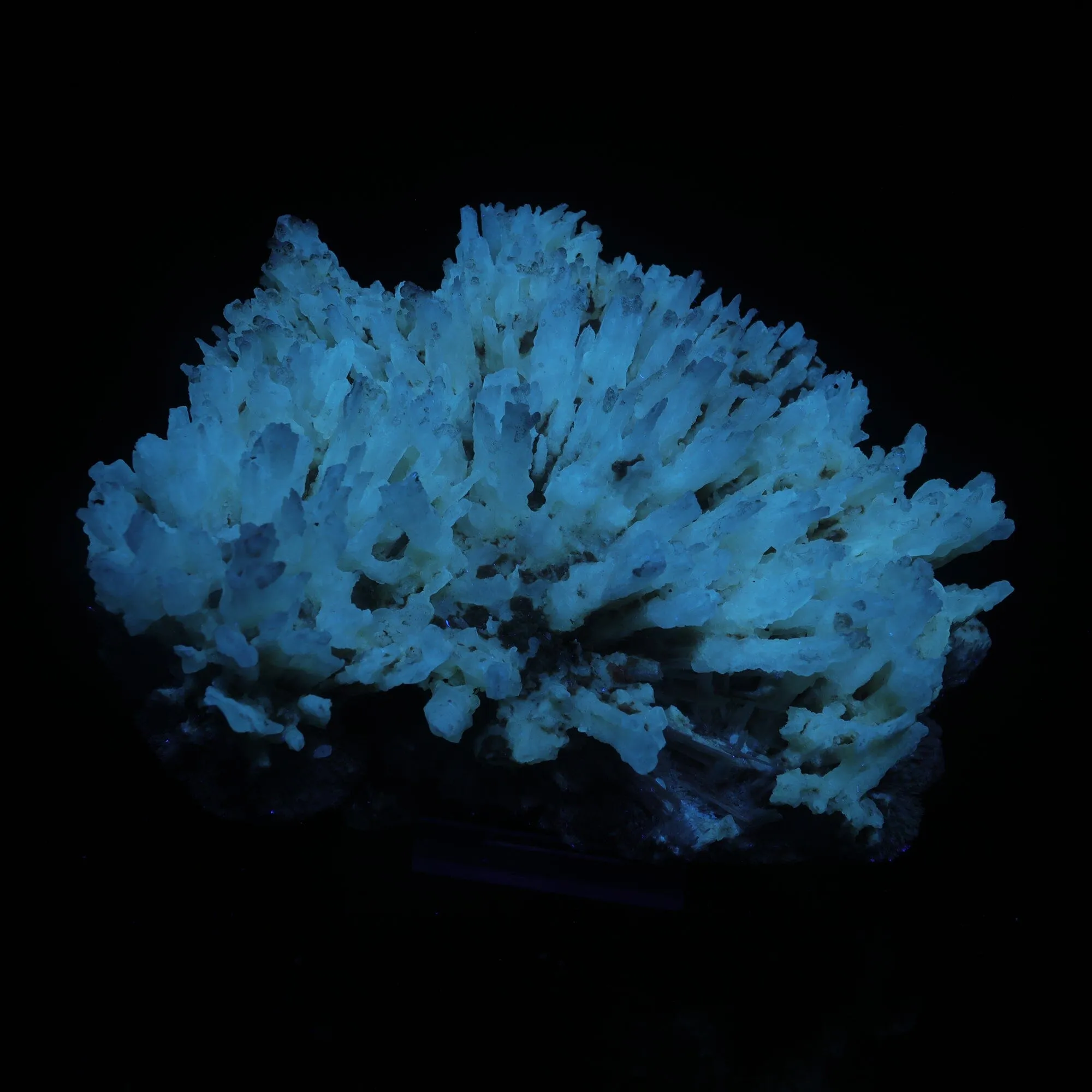 Phosphorescent Calcite on Mordenite with Iron Inclusions – Rare Mineral Specimen from India - image 5