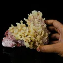 Phosphorescent Calcite on Mordenite with Iron Inclusions – Rare Mineral Specimen from India - image 4