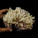 Phosphorescent Calcite on Mordenite with Iron Inclusions – Rare Mineral Specimen from India - image 6