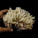 Phosphorescent Calcite on Mordenite with Iron Inclusions – Rare Mineral Specimen from India - image 4