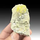 Phosphuranylite - image 1