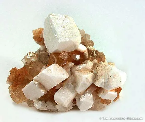 Picromerite on Halite image