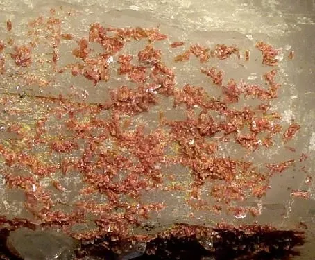Piemontite, Quartz, Calcite, Kaolinite - image 2