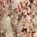 Piemontite, Zoisite (Var: Thulite) - image 2