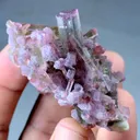 Pink and Green Tourmaline from Afghanistan - image 4