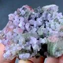 Pink and Green Tourmaline from Afghanistan - image 3
