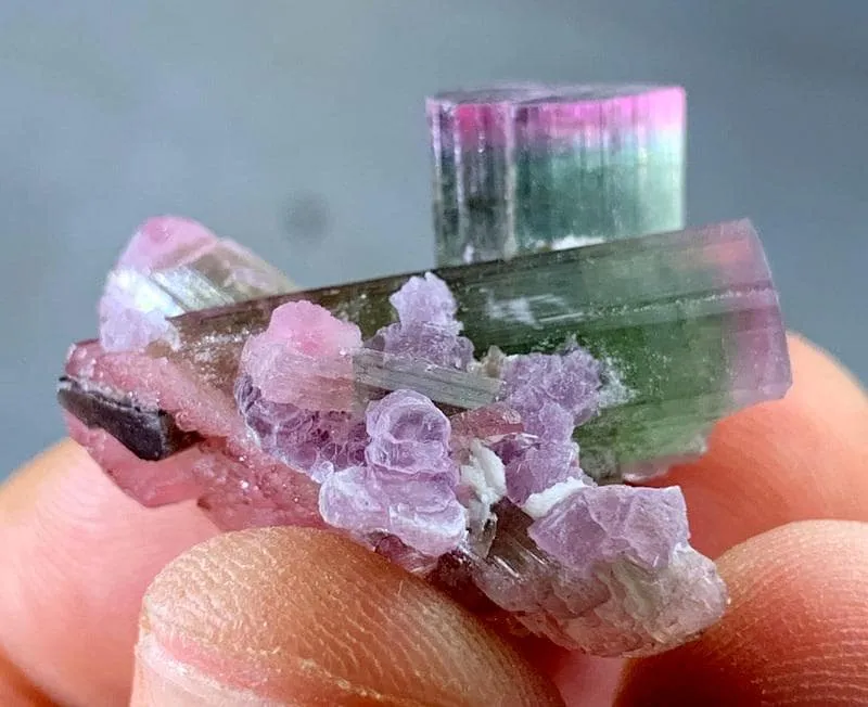 Pink Cap Tourmaline from Afghanistan - image 5