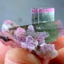 Pink Cap Tourmaline from Afghanistan - image 5
