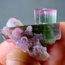 Pink Cap Tourmaline from Afghanistan - image 4