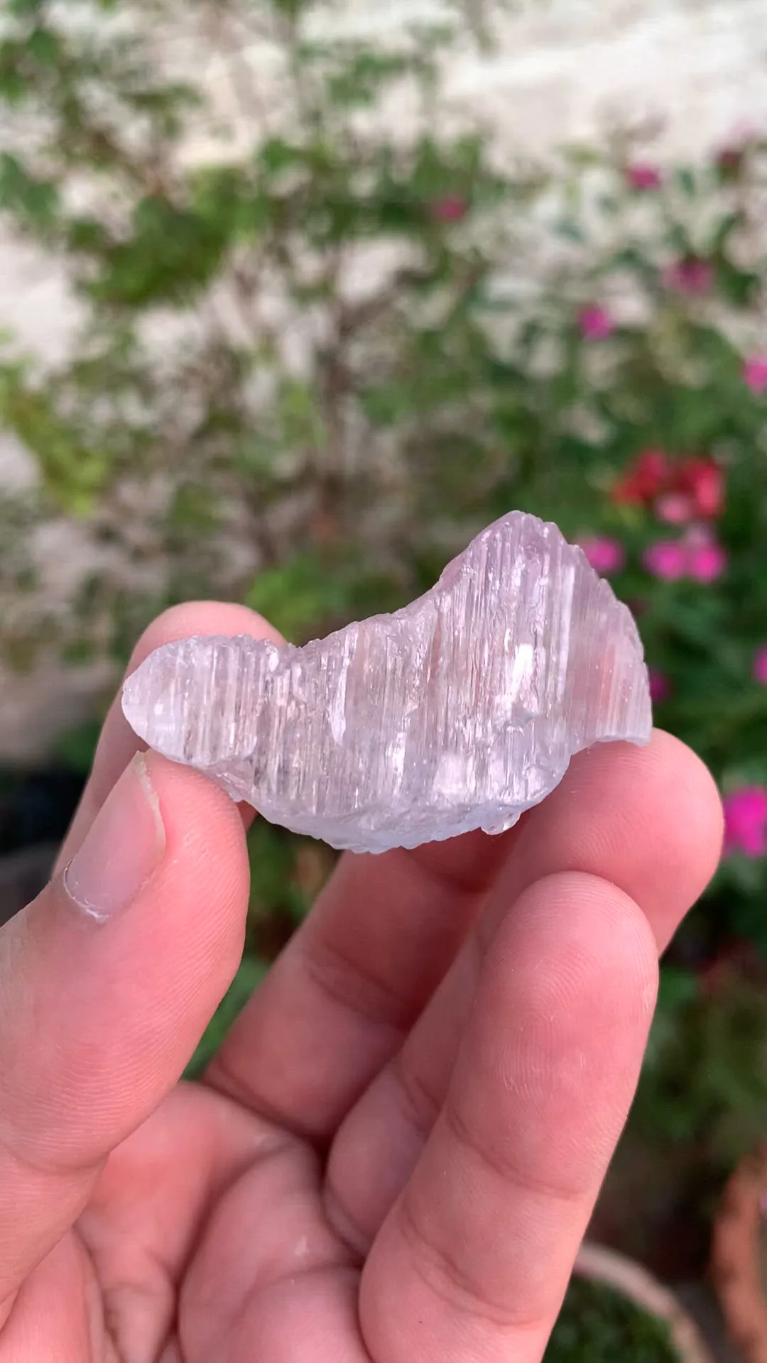specimen video