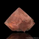 Pink Fluorite - image 4