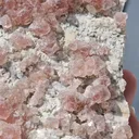 specimen video
