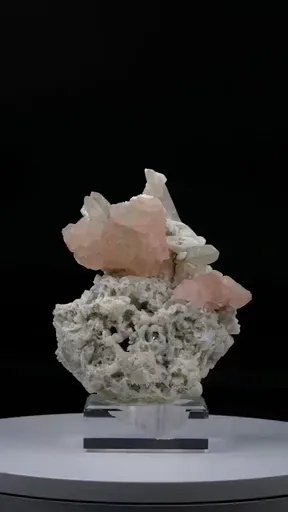 specimen video