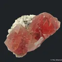 Pink Fluorite on Albite and Quartz - image 3