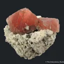 Pink Fluorite on Albite and Quartz - image 2