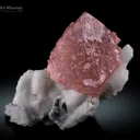 Pink Fluorite on Albite from Nagar Pakistan - image 1