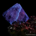 Pink Fluorite on Arsenopyrite - image 5