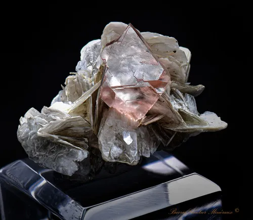 Pink Fluorite on Muscovite image