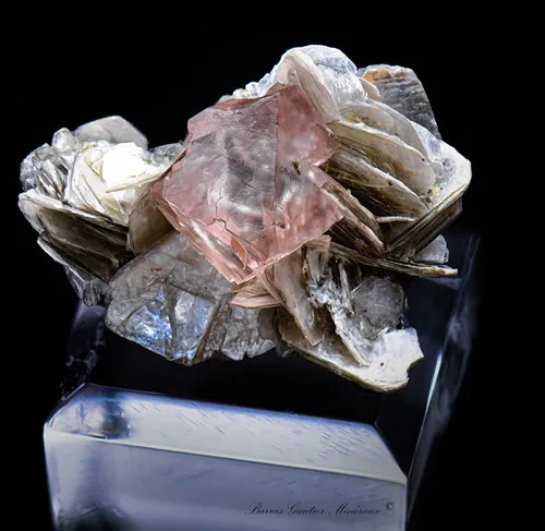 Pink Fluorite on Muscovite - image 3