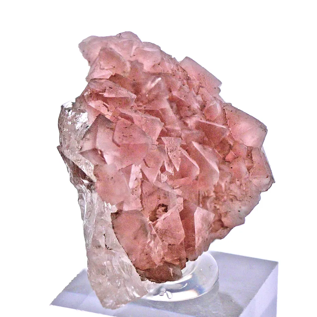 Pink Fluorite on Quartz from Mont-Blanc, France. Aesthetic crystals of translucent pastel pink alpine fluorite on bright, transparent quartz - image 5