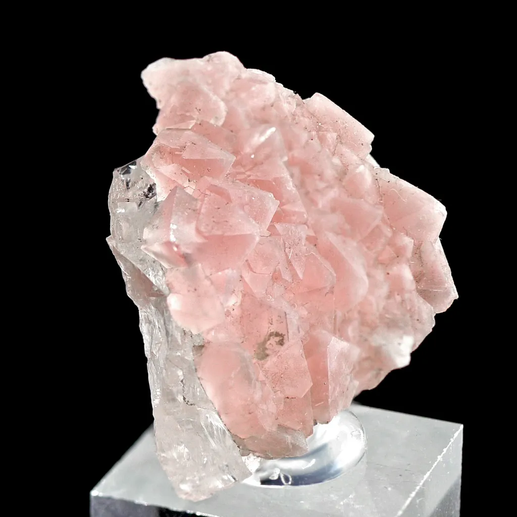 Pink Fluorite on Quartz from Mont-Blanc, France. Aesthetic crystals of translucent pastel pink alpine fluorite on bright, transparent quartz image