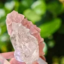 Pink Fluorite on Quartz from Mont-Blanc, France. Aesthetic crystals of translucent pastel pink alpine fluorite on bright, transparent quartz - image 3