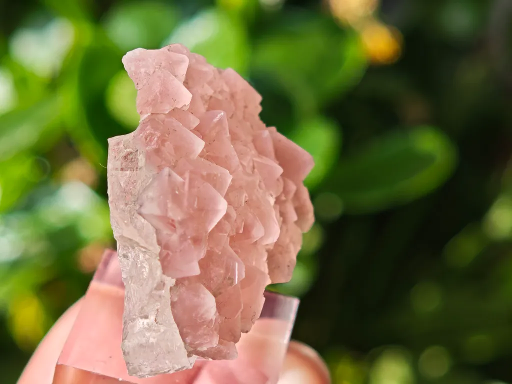Pink Fluorite on Quartz from Mont-Blanc, France. Aesthetic crystals of translucent pastel pink alpine fluorite on bright, transparent quartz - image 8