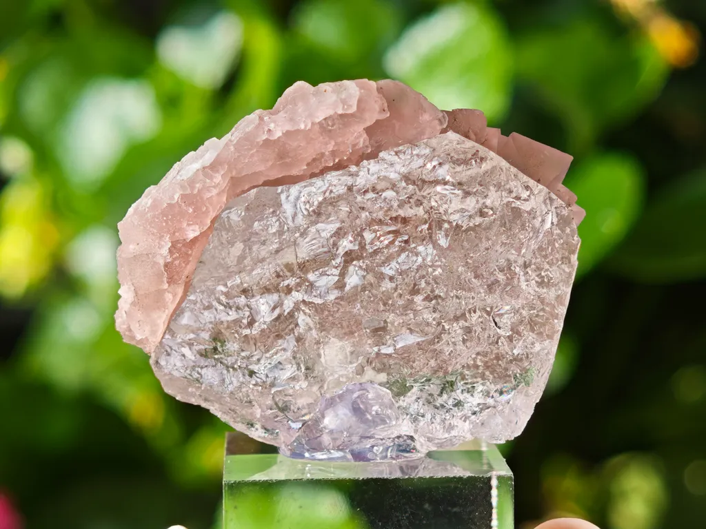 Pink Fluorite on Quartz from Mont-Blanc, France. Aesthetic crystals of translucent pastel pink alpine fluorite on bright, transparent quartz - image 4