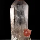 specimen video