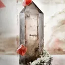 PINK FLUORITE ON SMOKY QUARTZ Tiefengletscher, Furka, Uri, Switzerland - image 1