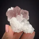 Pink Fluorite with Calcite, Clinochlore and Prehnite - image 2
