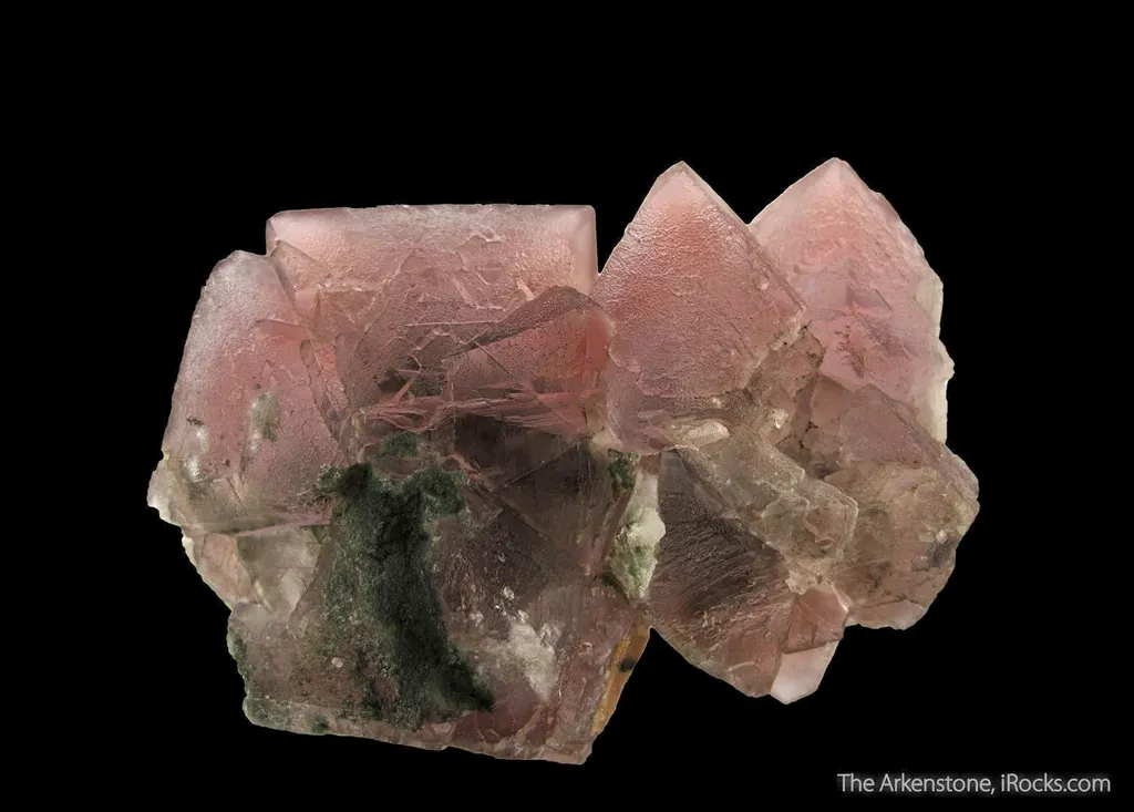 Pink Fluorite with Chlorite image