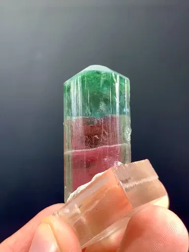 specimen video