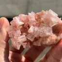 Pink Halite - image 5