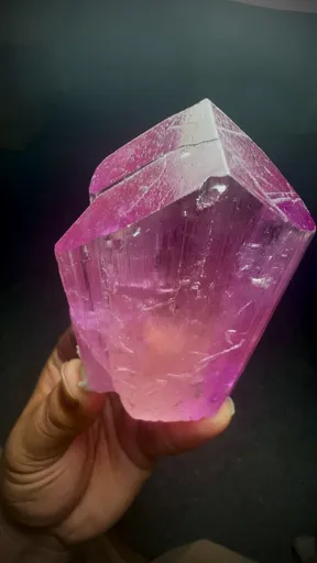 specimen video
