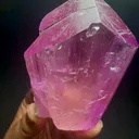 specimen video