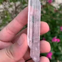 specimen video