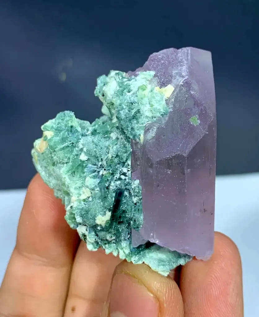 Pink Kunzite Crystal With Bluish Green Tourmaline Bunch @ Afghanistan - image 6