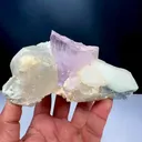 specimen video