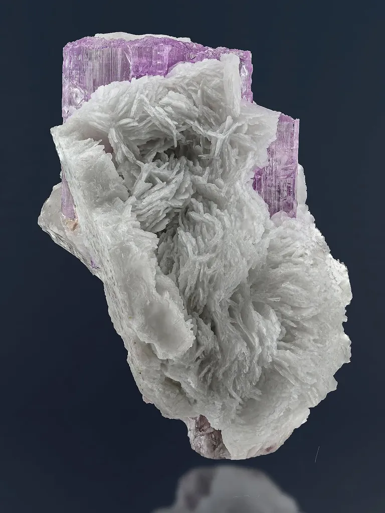 Pink kunzite on flower shape cleavelandite and quartz image
