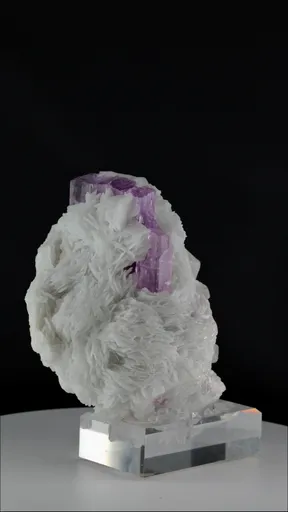 specimen video