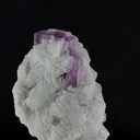 specimen video