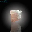 Pink Morganite – Exquisite Mineral Specimen - image 3