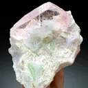 Pink Morganite with Green Tourmalines, Lepidolite and Cleavelandite Albite Specimen - 382 gram - image 5