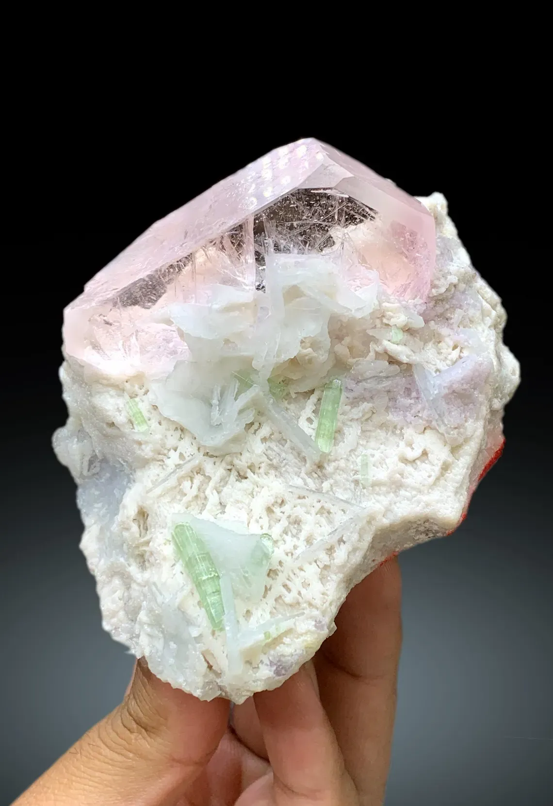 Pink Morganite with Green Tourmalines, Lepidolite and Cleavelandite Albite Specimen - 382 gram - image 5